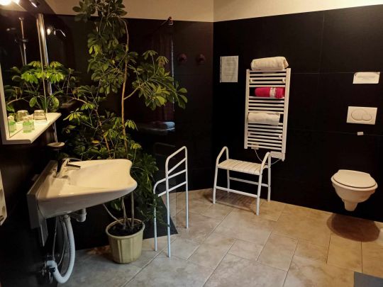 Salle de bain aménagée pour les personnes à mobilité réduite. Salle de bain aménagée pour les personnes à mobilité réduite.