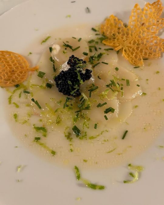 Carpaccio de noix de Saint-Jacques, vinaigrette pomelo huile d'olive, œufs de Lompe. Carpaccio de noix de Saint-Jacques, vinaigrette pomelo huile d'olive, œufs de Lompe.